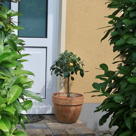 Seebadhof - Kaiser Апартаменты Рангсдорф